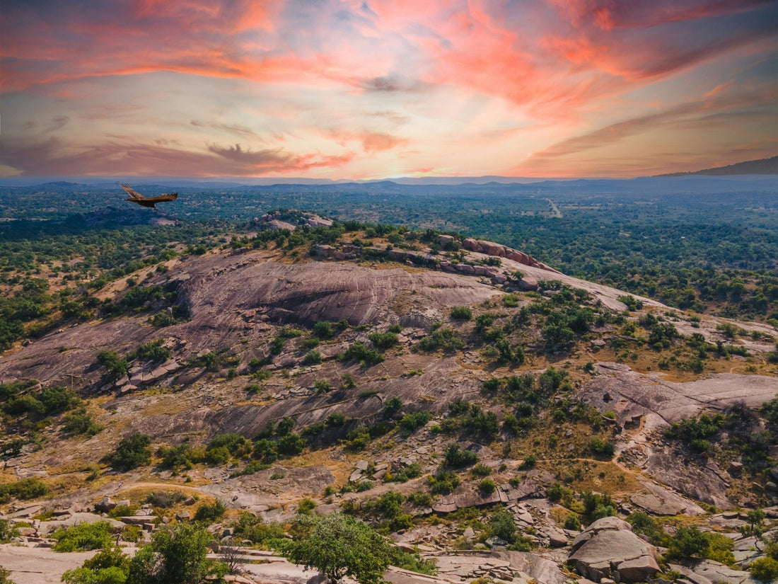 The Best Day Trips from Austin: Driftwood and Beyond