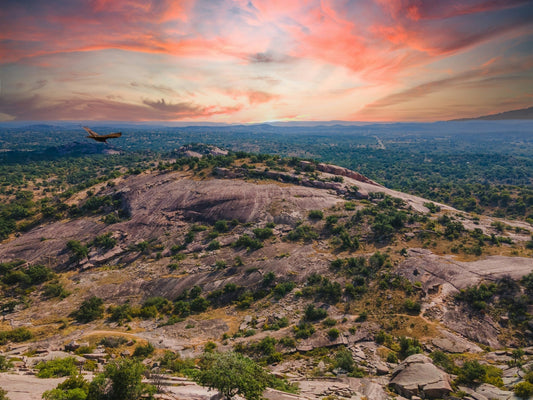 The Best Day Trips from Austin: Driftwood and Beyond