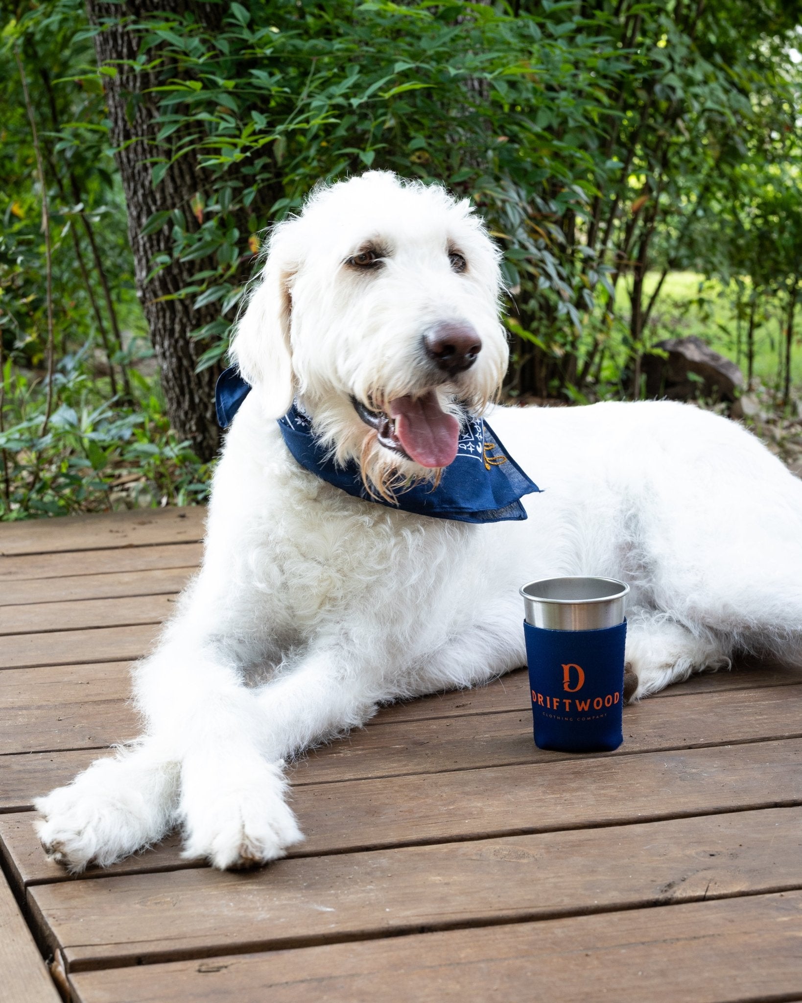 Puppy with our Driftwood koozie