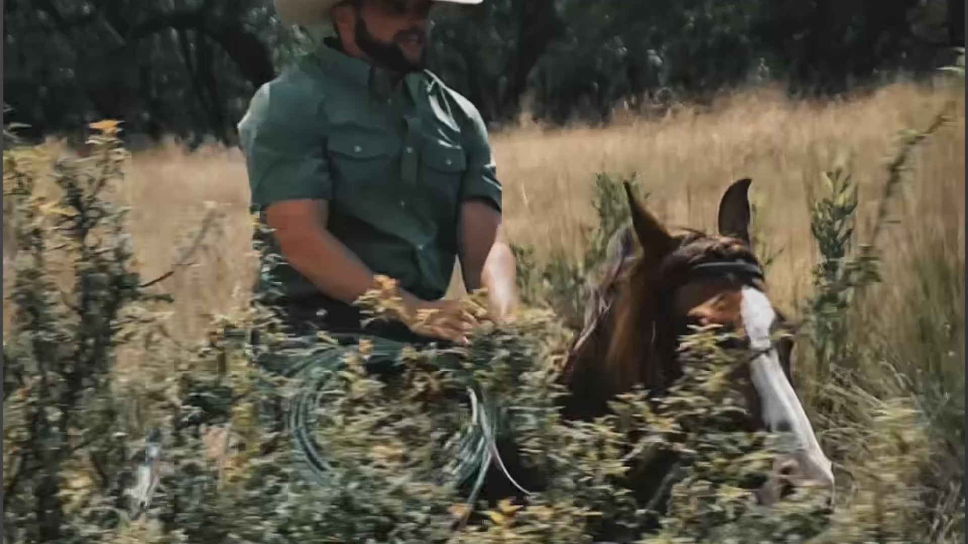 Load video: Rider on horseback