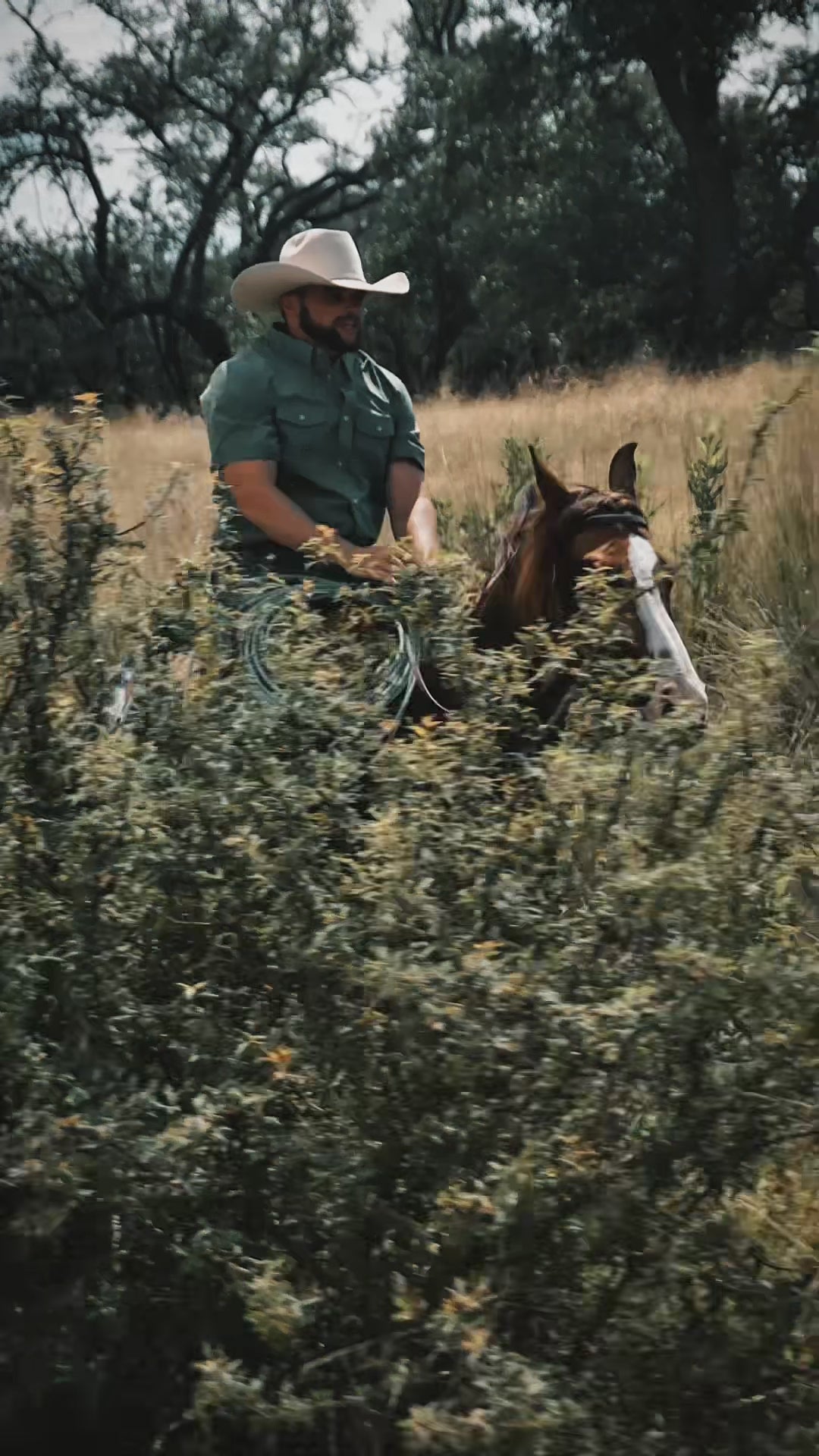 Load video: Rider on horseback